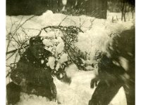 1943096040  Irvin McLaughlin - WWII - Italy - 1943-1945