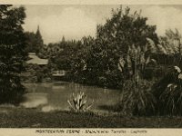 1943015040 Montecatini Terme - Italy -  60 mi west of Florance - taken 1942