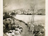 1943095004  Irvin McLaughlin - WWII - Italy - 1943-1945