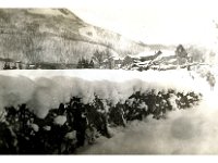 1943095011  Irvin McLaughlin - WWII - Italy - 1943-1945