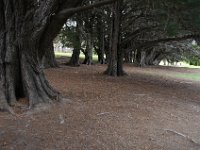 2005021568 Hobart, Australia (February  14, 2005)