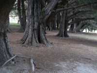 2005021570 Hobart, Australia (February  14, 2005)