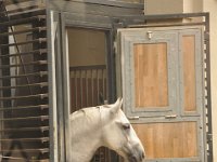 2013094941 Vienna Austria - Sept 20