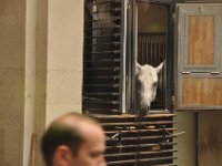 2013094944 Vienna Austria - Sept 20