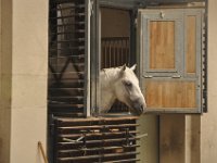 2013094946 Vienna Austria - Sept 20