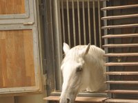 2013094952 Vienna Austria - Sept 20