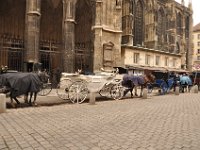 2013094812 Vienna Austria - Sept 20