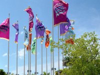 1988031133A Darrel-Betty-Darla Hagberg - Bahama Cruise Vacation : Betty Hagberg,Darla Hagberg