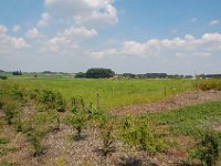 2008063122  Betty-Darrel-Yvette-Felicia-Suzette-Adara Belgium : Suzette DePaepe