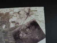 2008063125  Betty-Darrel-Yvette-Felicia-Suzette-Adara Belgium