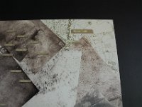 2008063129  Betty-Darrel-Yvette-Felicia-Suzette-Adara Belgium