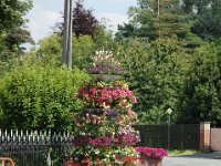 2008063176  Betty-Darrel-Yvette-Felicia-Suzette-Adara Belgium