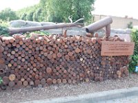 2008063183  Betty-Darrel-Yvette-Felicia-Suzette-Adara Belgium