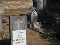 2008063257  Betty-Darrel-Yvette-Felicia-Suzette-Adara Belgium