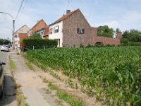 2008063300  Betty-Darrel-Yvette-Felicia-Suzette-Adara Belgium