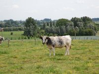 2008063316  Betty-Darrel-Yvette-Felicia-Suzette-Adara Belgium