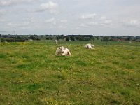 2008063322  Betty-Darrel-Yvette-Felicia-Suzette-Adara Belgium