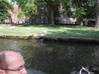 2008063434  Betty-Darrel-Yvette-Felicia-Suzette-Adara Belgium