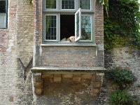 2008063447  Betty-Darrel-Yvette-Felicia-Suzette-Adara Belgium