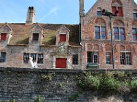 2008063448  Betty-Darrel-Yvette-Felicia-Suzette-Adara Belgium