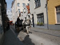 2008063467  Betty-Darrel-Yvette-Felicia-Suzette-Adara Belgium