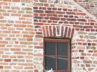 2008063490  Betty-Darrel-Yvette-Felicia-Suzette-Adara Belgium