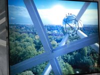 2008063555  Betty-Darrel-Yvette-Felicia-Suzette-Adara Belgium