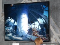 2008063556  Betty-Darrel-Yvette-Felicia-Suzette-Adara Belgium