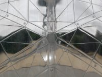 2008063575  Betty-Darrel-Yvette-Felicia-Suzette-Adara Belgium