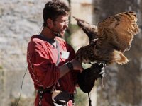 2013098632 Falcon Exhibition - Han Belgium - Sept 28