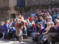 2013098637 Falcon Exhibition - Han Belgium - Sept 28