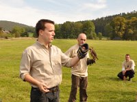 2013098689 Falcon Exhibition - Han Belgium - Sept 28