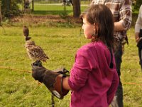 2013098714 Falcon Exhibition - Han Belgium - Sept 28