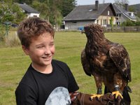 2013098725 Falcon Exhibition - Han Belgium - Sept 28