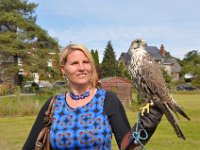 2013098736 Falcon Exhibition - Han Belgium - Sept 28