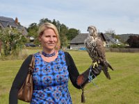 2013098740 Falcon Exhibition - Han Belgium - Sept 28