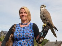 2013098743 Falcon Exhibition - Han Belgium - Sept 28