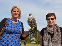 2013098753 Falcon Exhibition - Han Belgium - Sept 28