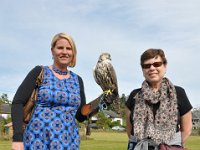 2013098756 Falcon Exhibition - Han Belgium - Sept 28