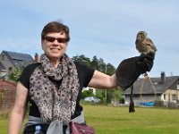 2013098761 Falcon Exhibition - Han Belgium - Sept 28