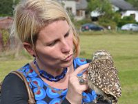 2013098780 Falcon Exhibition - Han Belgium - Sept 28