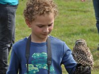 2013098788 Falcon Exhibition - Han Belgium - Sept 28