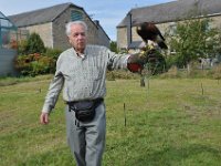 2013098792 Falcon Exhibition - Han Belgium - Sept 28