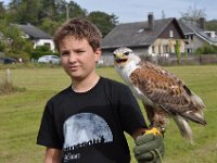 2013098801 Falcon Exhibition - Han Belgium - Sept 28
