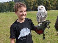 2013098822 Falcon Exhibition - Han Belgium - Sept 28