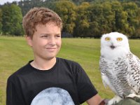 2013098827 Falcon Exhibition - Han Belgium - Sept 28