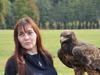 2013098830 Falcon Exhibition - Han Belgium - Sept 28