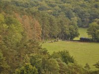 2013098877 Falcon Exhibition - Han Belgium - Sept 28