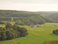 2013098899 Falcon Exhibition - Han Belgium - Sept 28