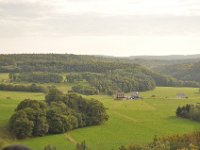 2013098900 Falcon Exhibition - Han Belgium - Sept 28
